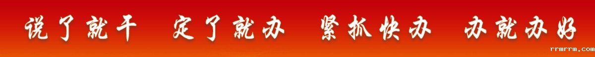 说了就干 定了就办 紧抓快办 办就办好